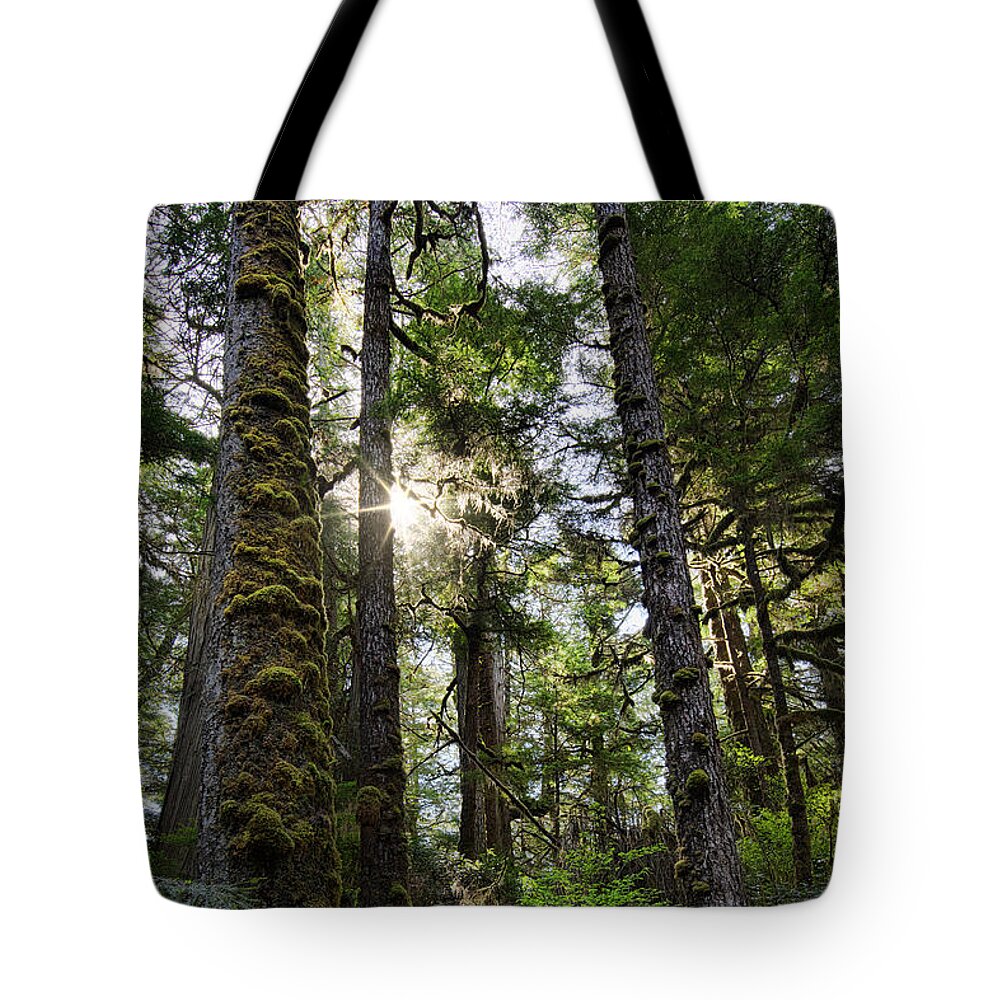 Tofino Tote Bag featuring the photograph Found in a Rain Forest by Allan Van Gasbeck