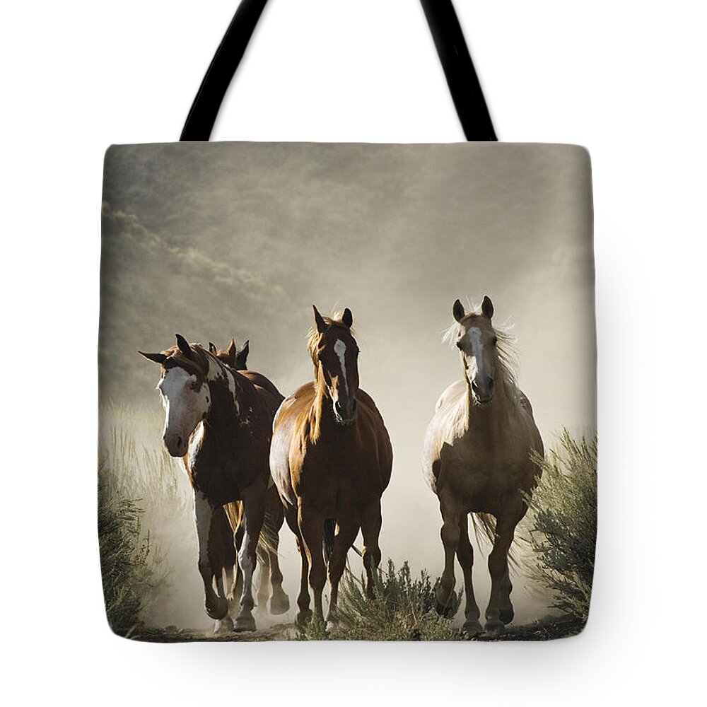 Feb0514 Tote Bag featuring the photograph Four Horses Approaching by Konrad Wothe