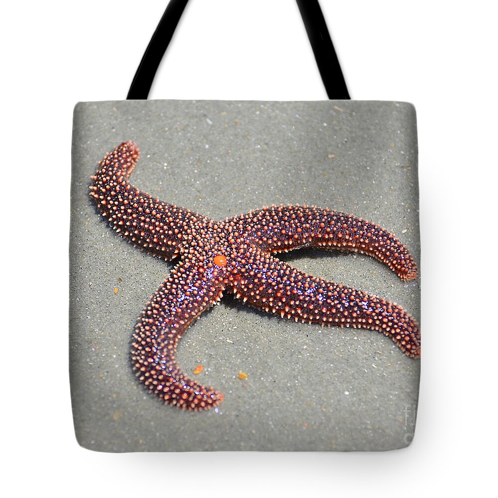 Starfish Tote Bag featuring the photograph Four Legged Starfish by Kathy Baccari