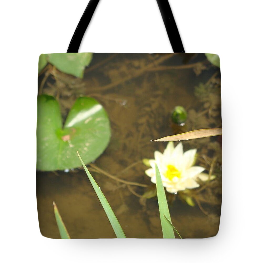 White Waterlily Tote Bag featuring the photograph Fragrant Waterlily by Anthony Seeker