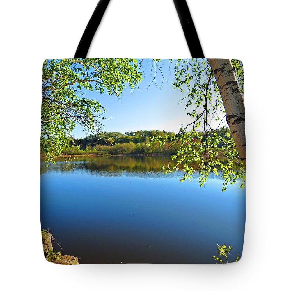 Birch Tote Bag featuring the photograph Framed by Birch by MTBobbins Photography