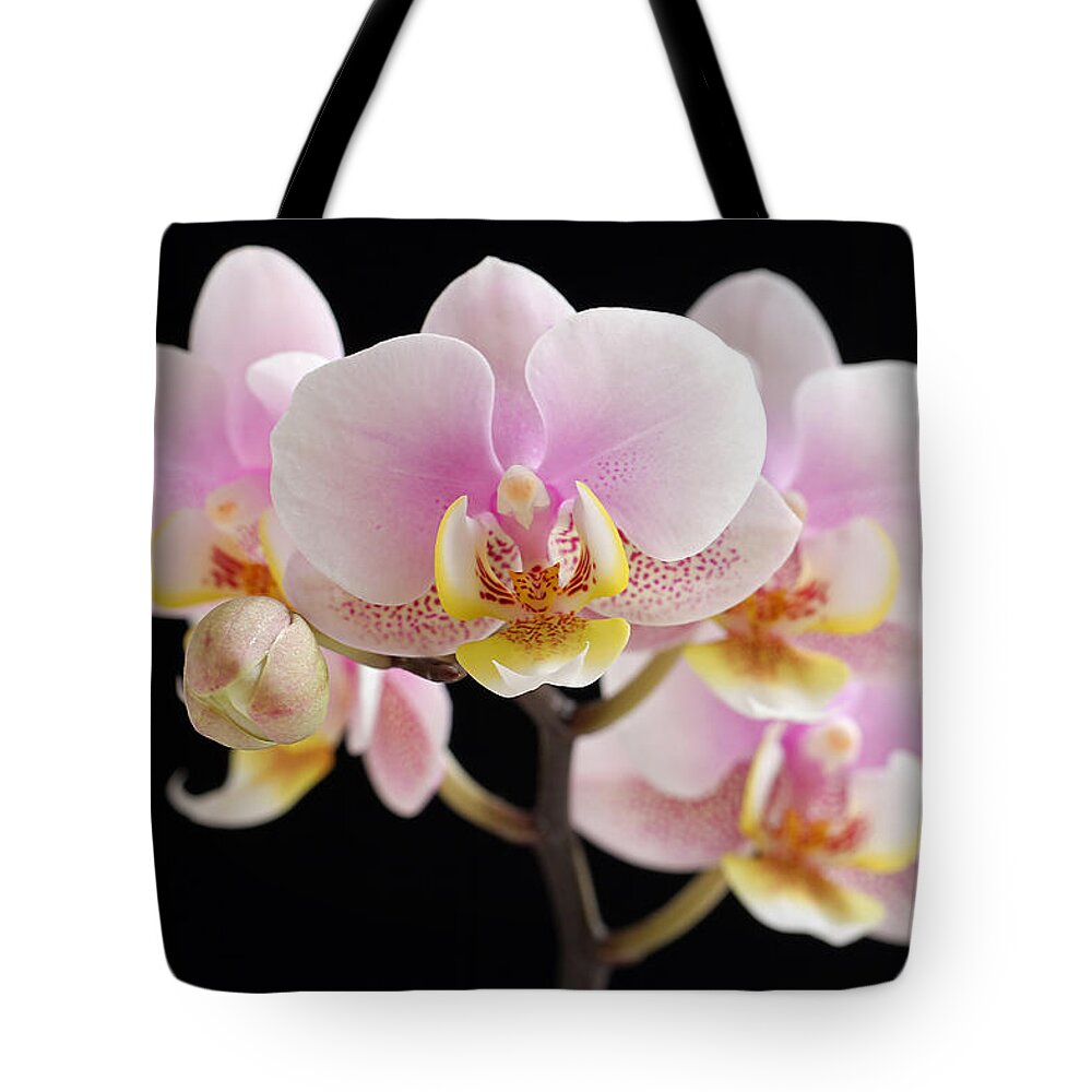 Orchid Tote Bag featuring the photograph Freckled Bloom by Juergen Roth