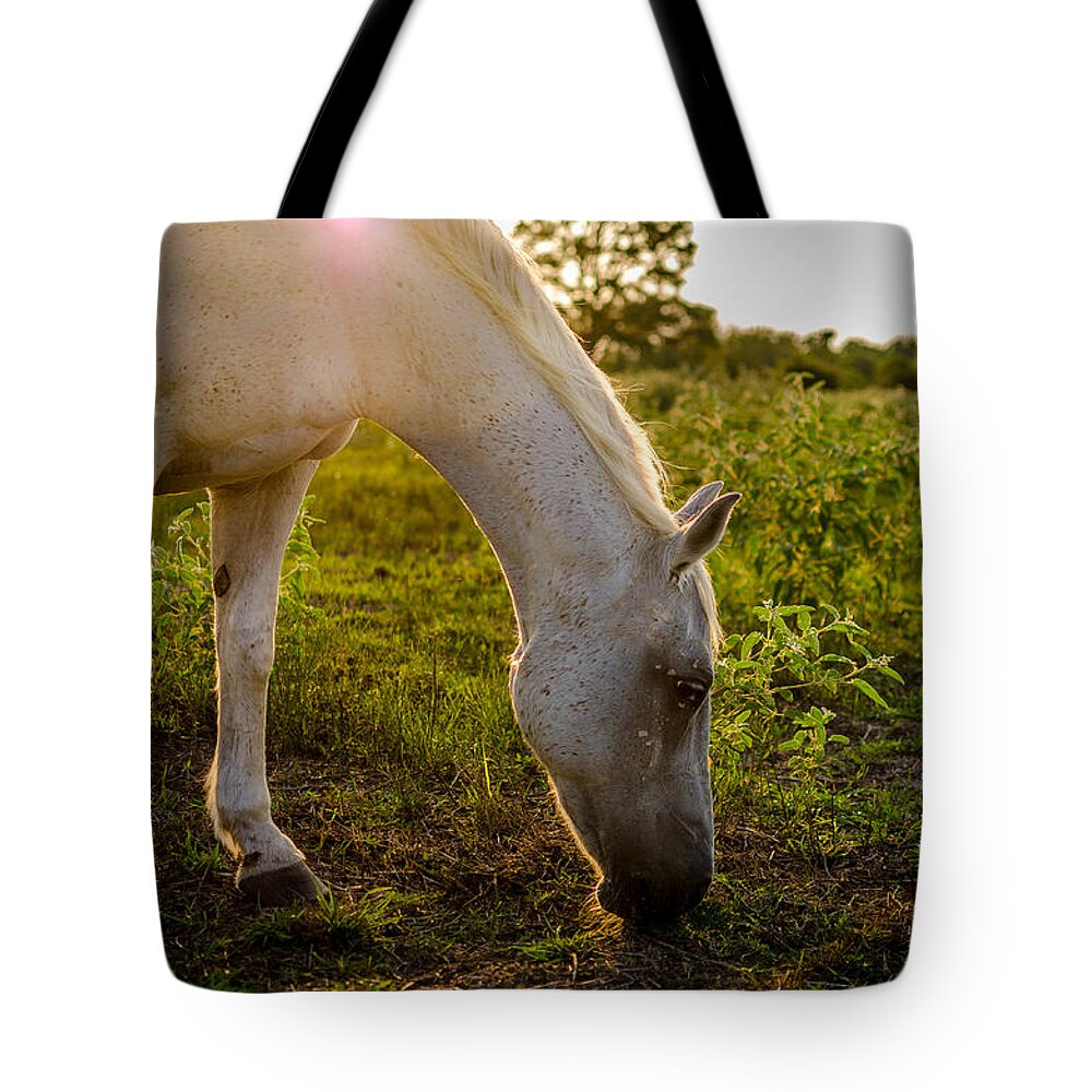 Freckles Tote Bag featuring the photograph Freckles Pferd by David Morefield