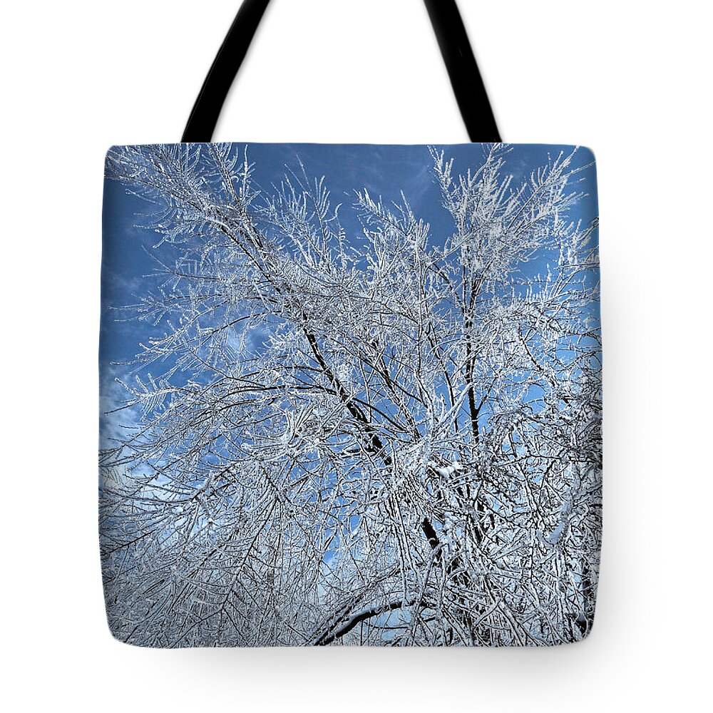 North America Tote Bag featuring the photograph Freezing Rain ... by Juergen Weiss