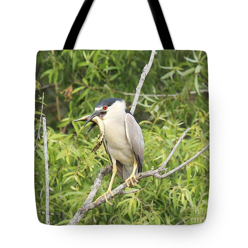 Black Crowned Night Heron Tote Bag featuring the photograph Fresh Fish Snack by Adam Jewell