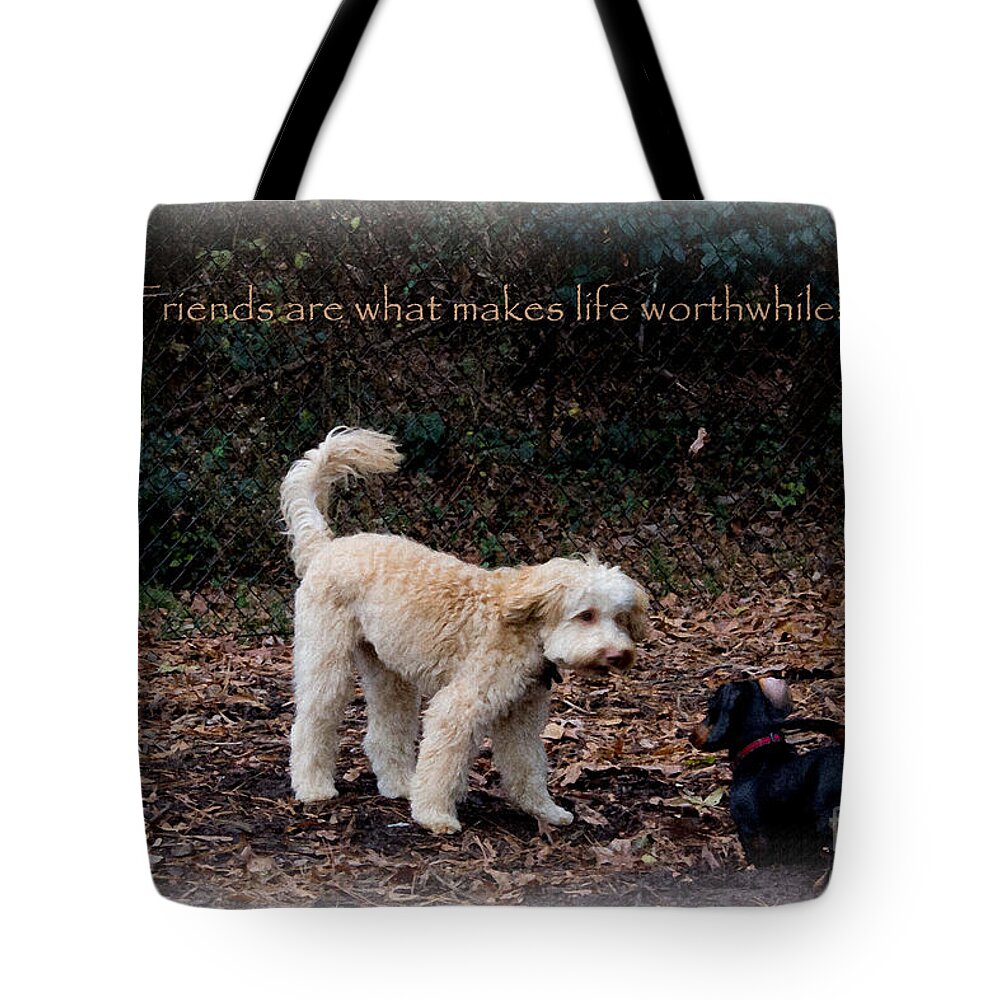 Labradoodle Tote Bag featuring the photograph Friends 2 by Sandra Clark