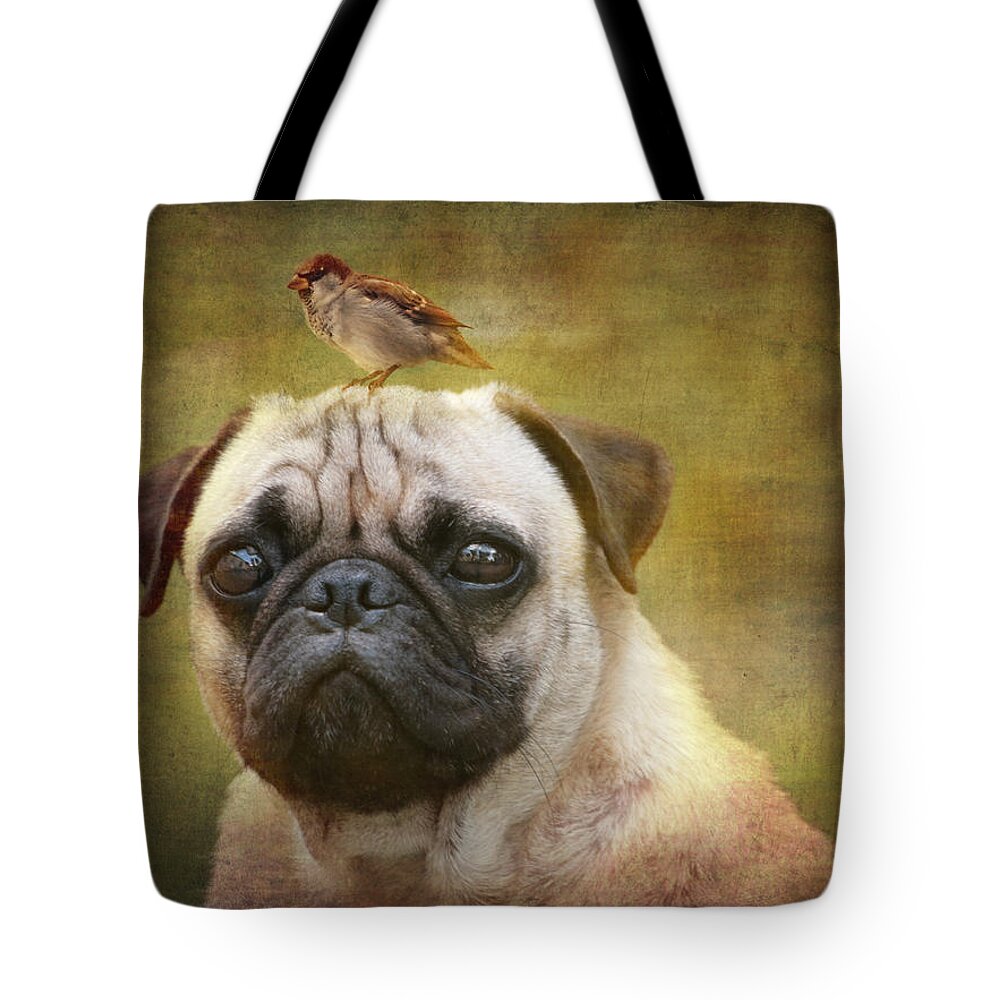 Portrait Tote Bag featuring the photograph Friends like pug and bird by Barbara Orenya