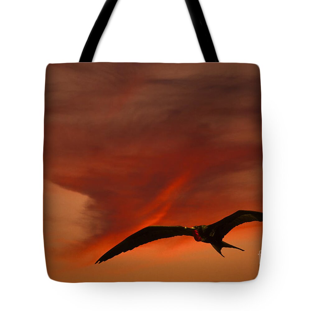 Animal Tote Bag featuring the photograph Frigate Bird by Ron Sanford