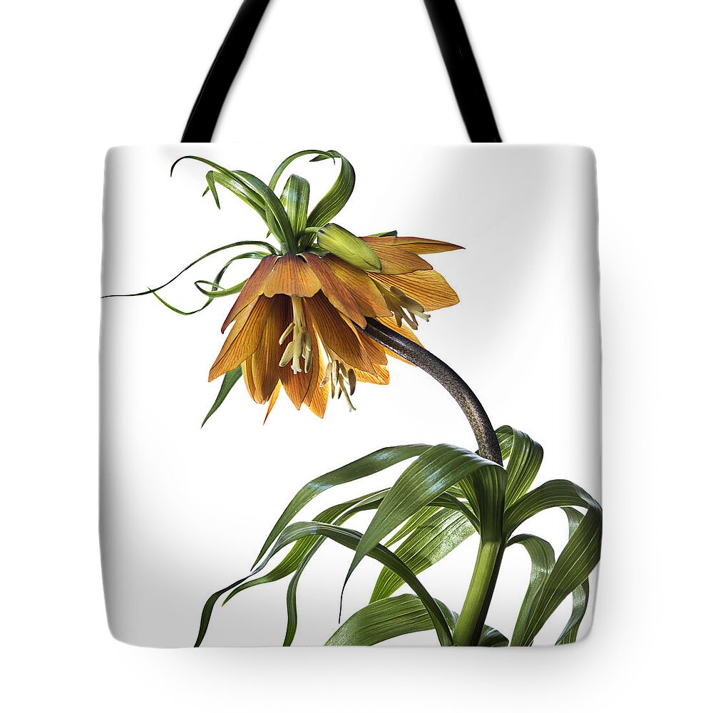 Flower Tote Bag featuring the photograph Fritillaria Imperialis by Endre Balogh