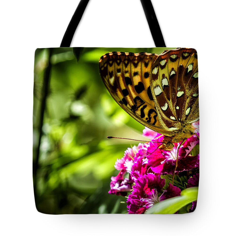 Fritillary Butterfly Tote Bag featuring the photograph Fritillary Butterfly on a Pink Bloom by Belinda Greb