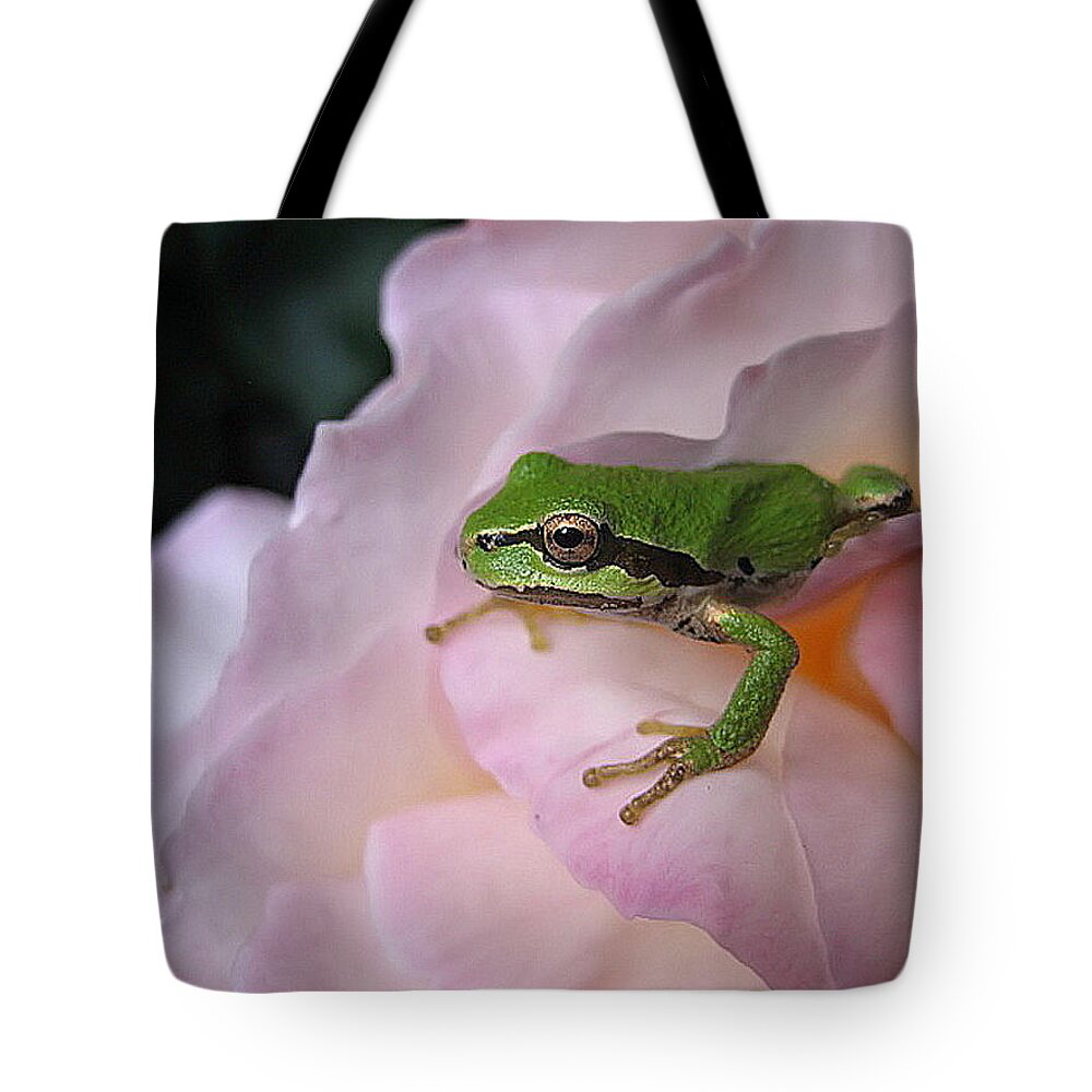 Amphibian Tote Bag featuring the photograph Frog and Rose photo 3 by Cheryl Hoyle