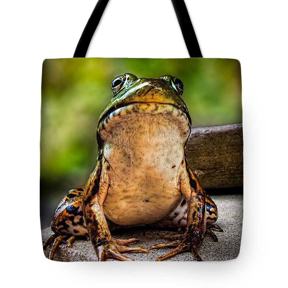 Frog Tote Bag featuring the photograph Frog Prince or so he thinks by Bob Orsillo