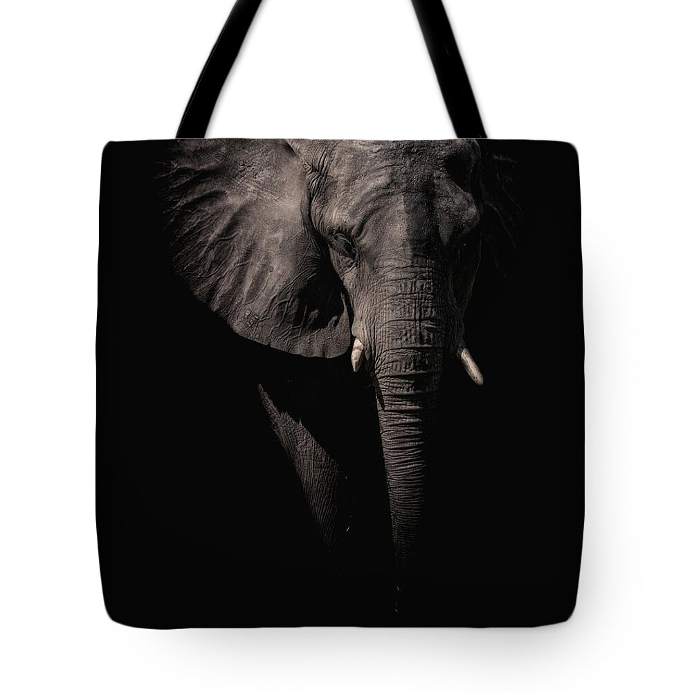 Crystal Yingling Tote Bag featuring the photograph From the Darkness by Ghostwinds Photography
