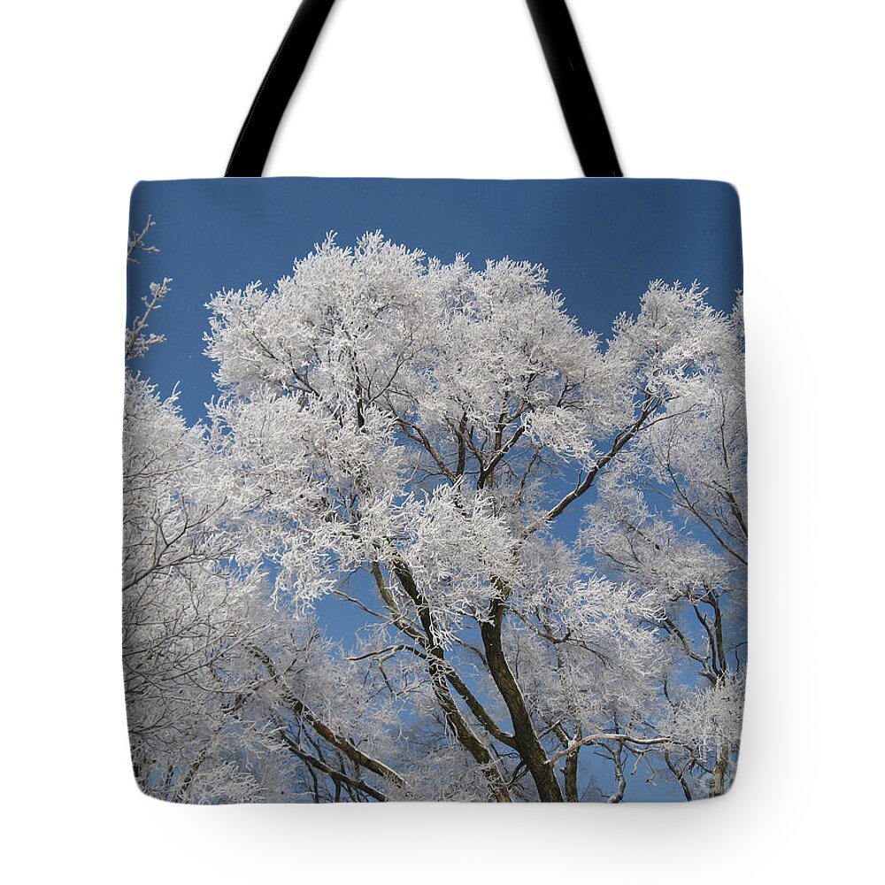 Frost Tote Bag featuring the photograph Frost on the Elms by Conni Schaftenaar