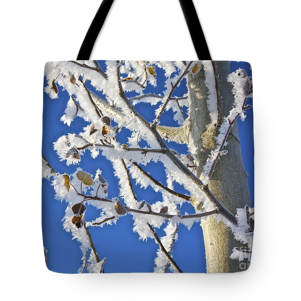Frost Tote Bag featuring the photograph Frosted Tree by Linda Bianic