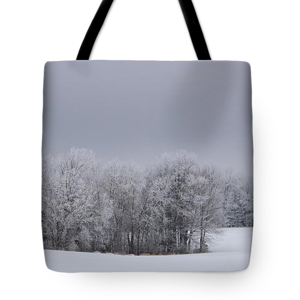 Winter Tote Bag featuring the photograph Frosty Farm Fields by Dale Kauzlaric