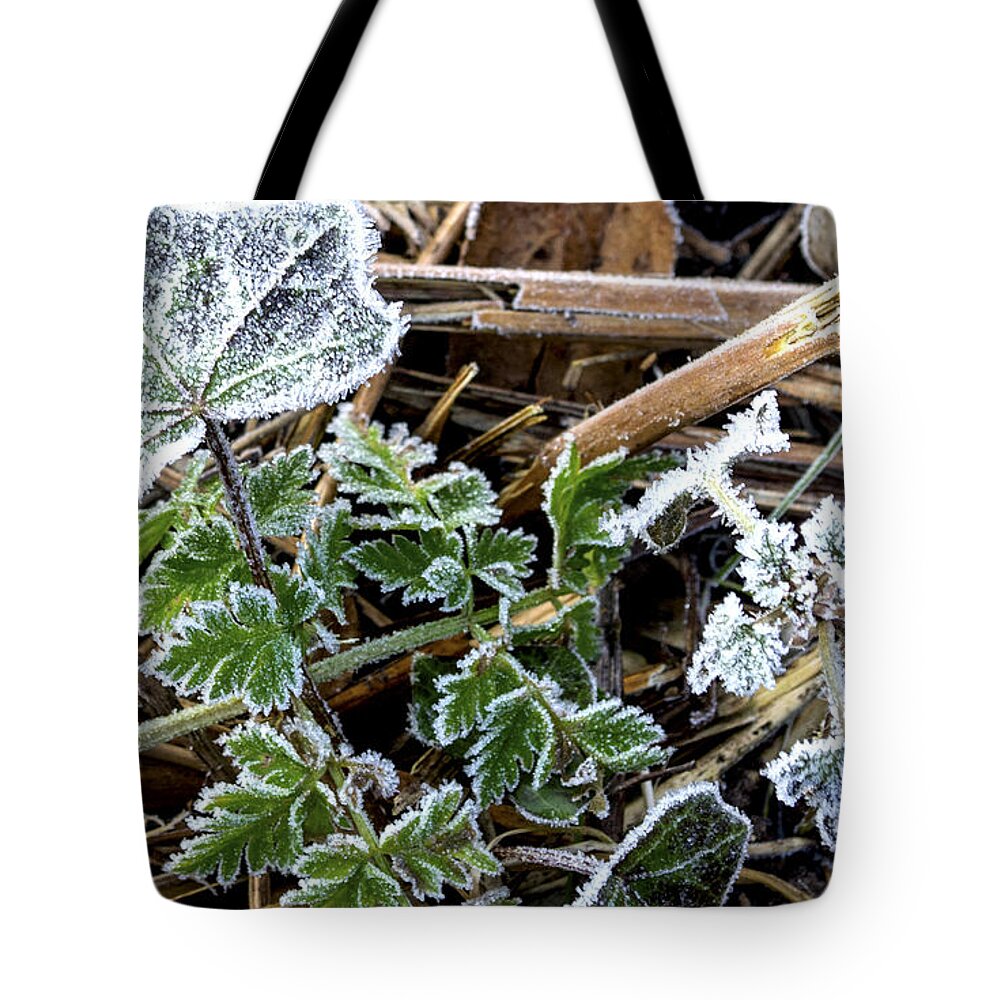 Frost Tote Bag featuring the photograph Frosty by Spikey Mouse Photography