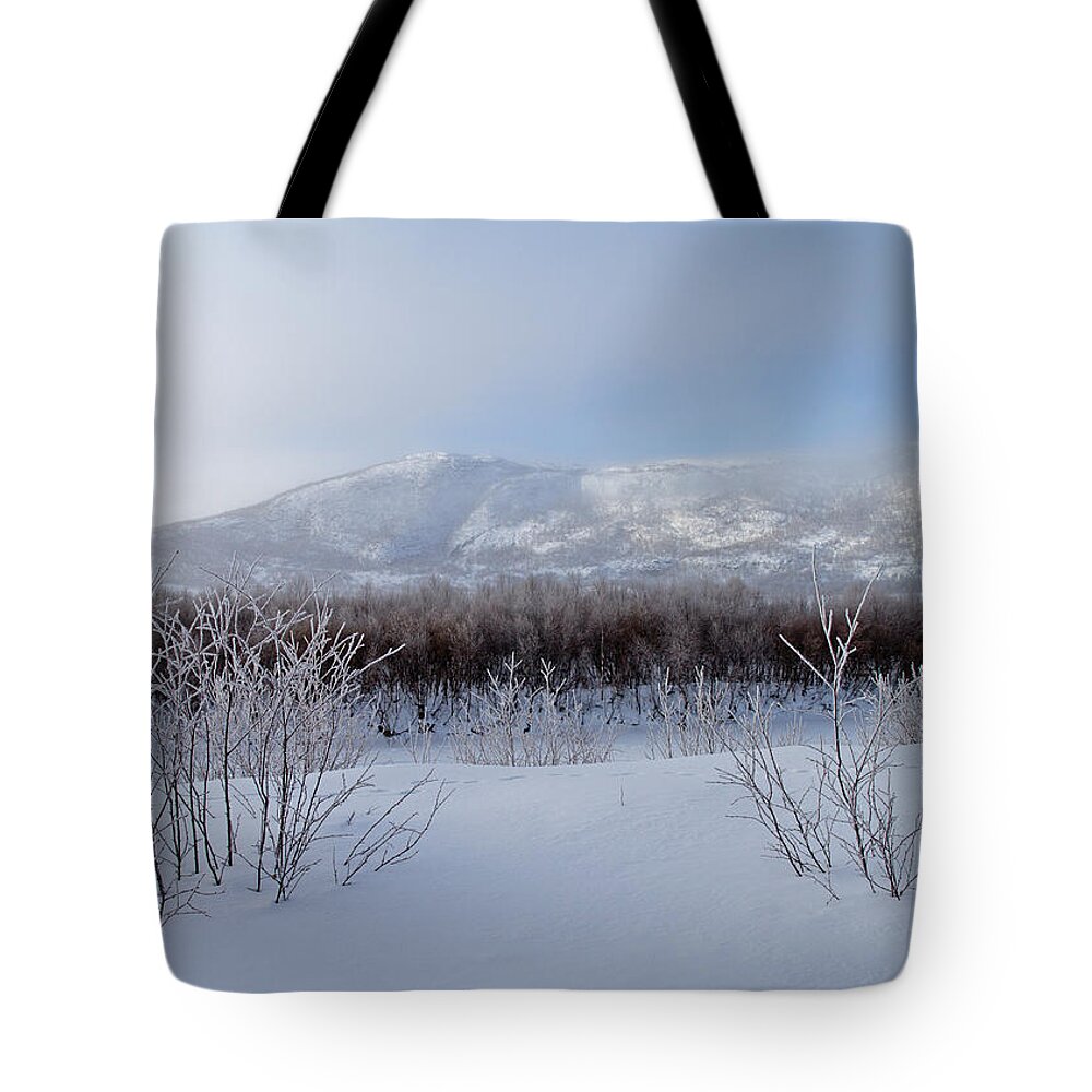 Arctic Tote Bag featuring the photograph Frosty Mists in the Morning by Pekka Sammallahti