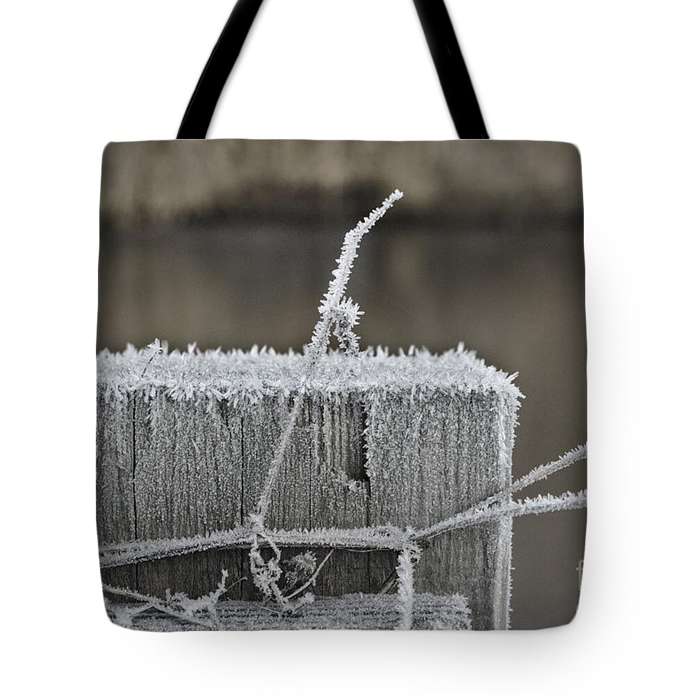 Brackley Tote Bag featuring the photograph Frosty Start by Jeremy Hayden