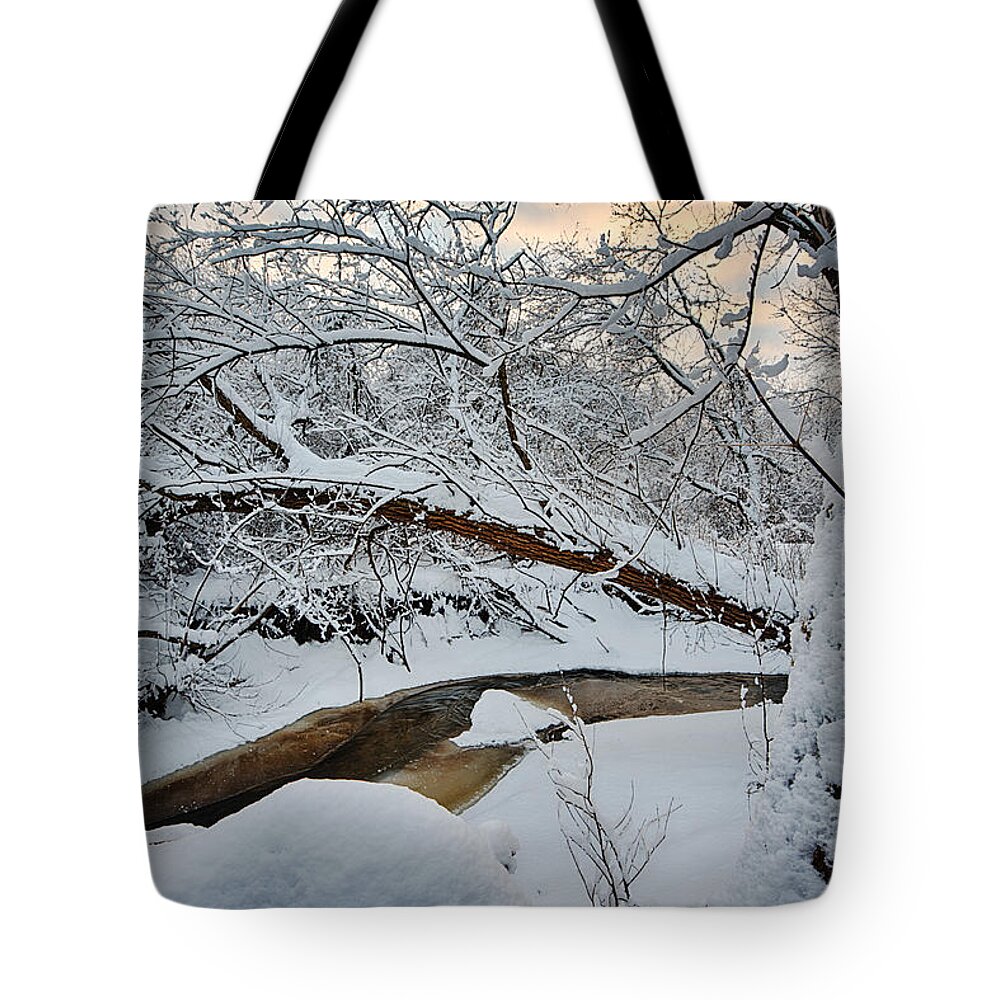 Clouds Tote Bag featuring the photograph Frozen Creek by Sebastian Musial