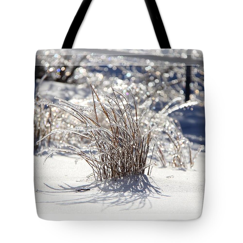 Landscape Tote Bag featuring the photograph Frozen in Time by Davandra Cribbie