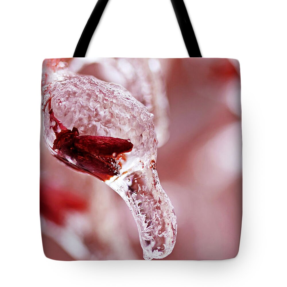 Fruit Tote Bag featuring the photograph Frozen Jewel by Debbie Oppermann