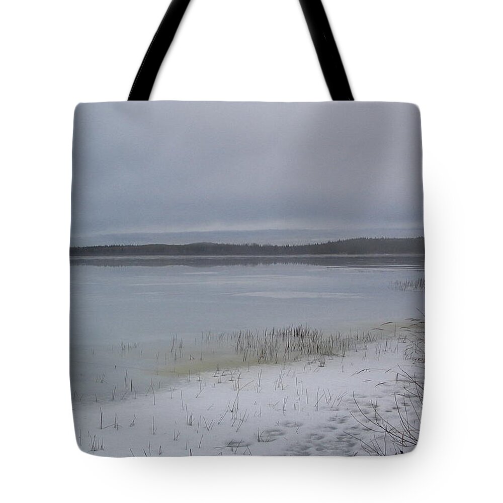 Tranquil Tote Bag featuring the photograph Frozen Tranquility by Vivian Martin