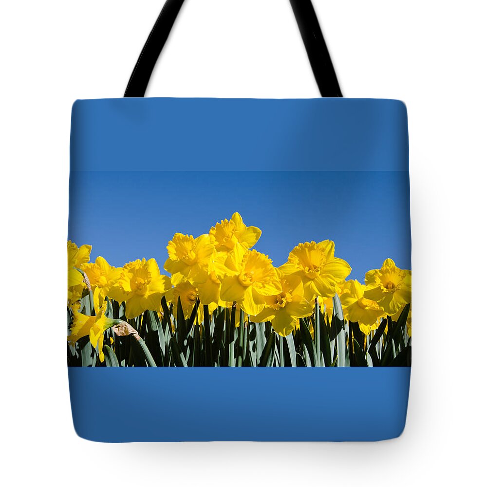 Yellow Day Lilies Tote Bag featuring the photograph Full of Light by Crystal Wightman