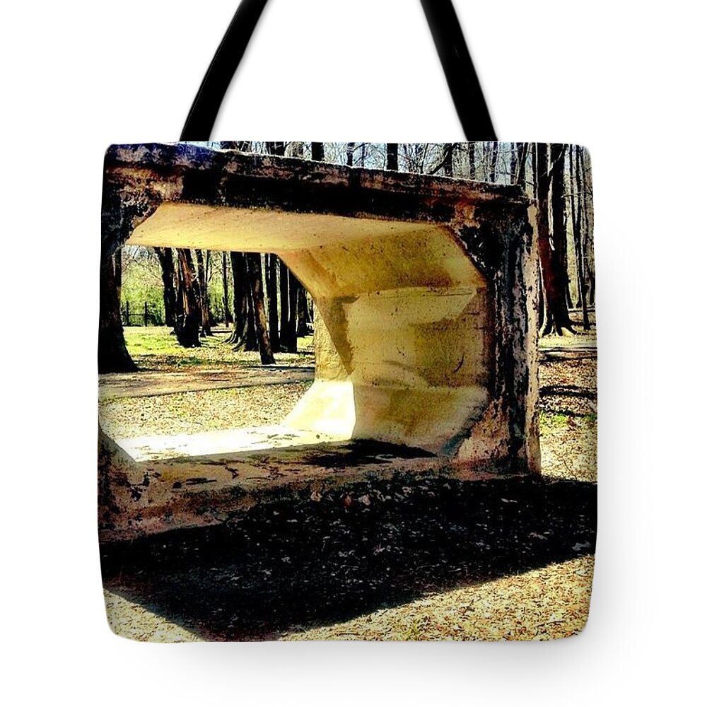 Park Tote Bag featuring the photograph Fun in the park by Michele Monk