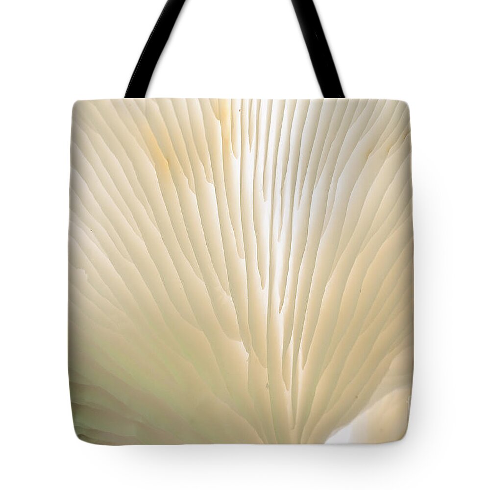 Ridgeway Tote Bag featuring the photograph Fungus by Steven Ralser