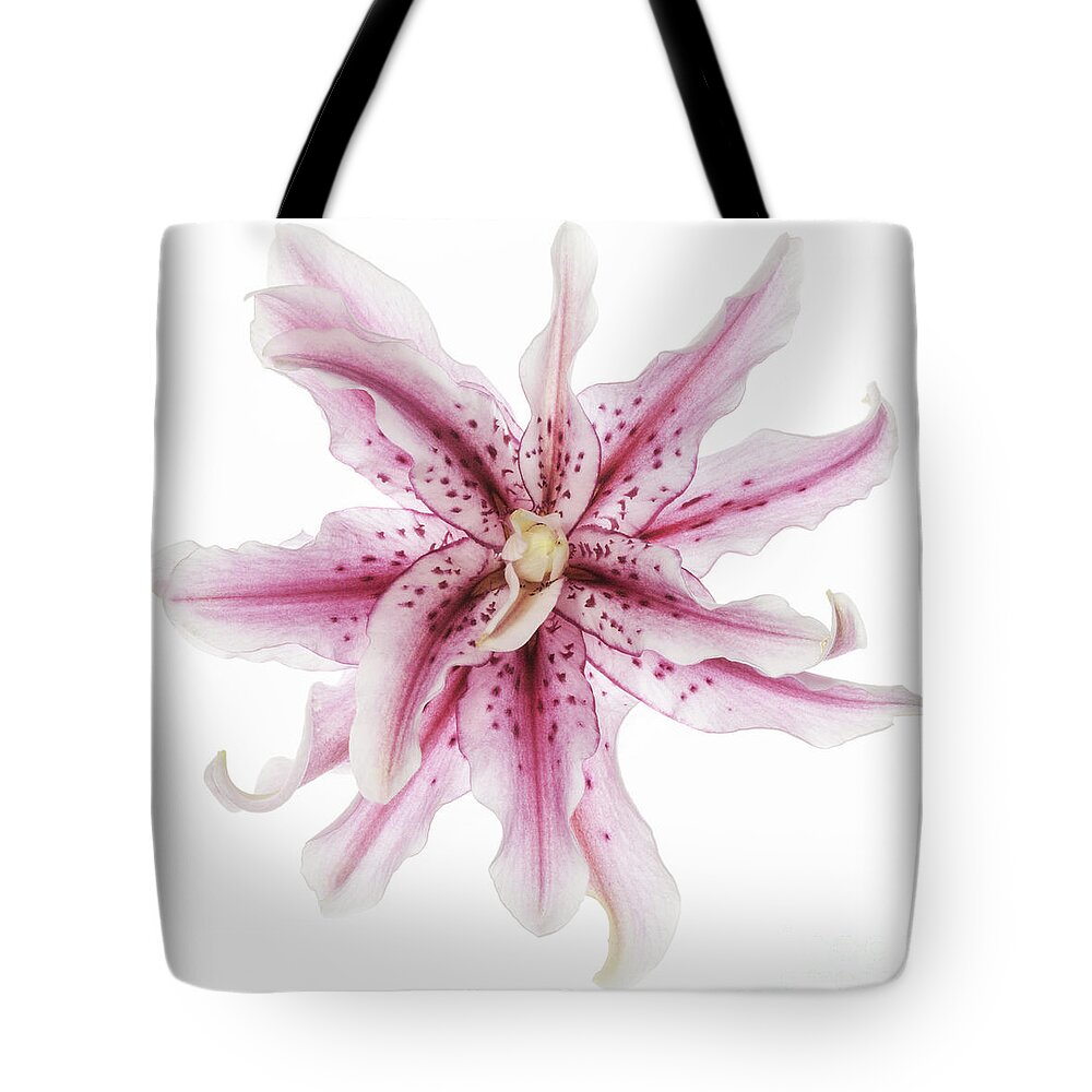 Funky Lily Tote Bag featuring the photograph Funky Lily by Patty Colabuono