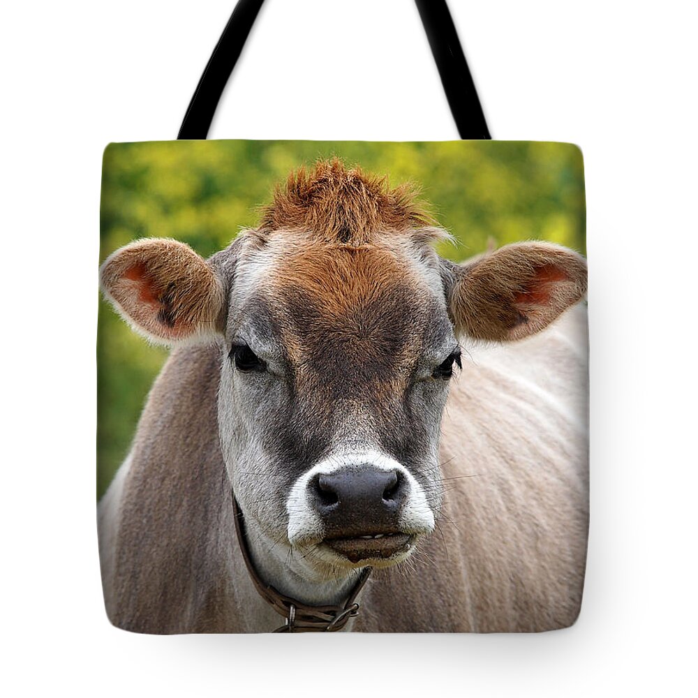Jersey Cow Tote Bag featuring the photograph Funny Jersey Cow - Horizontal by Gill Billington