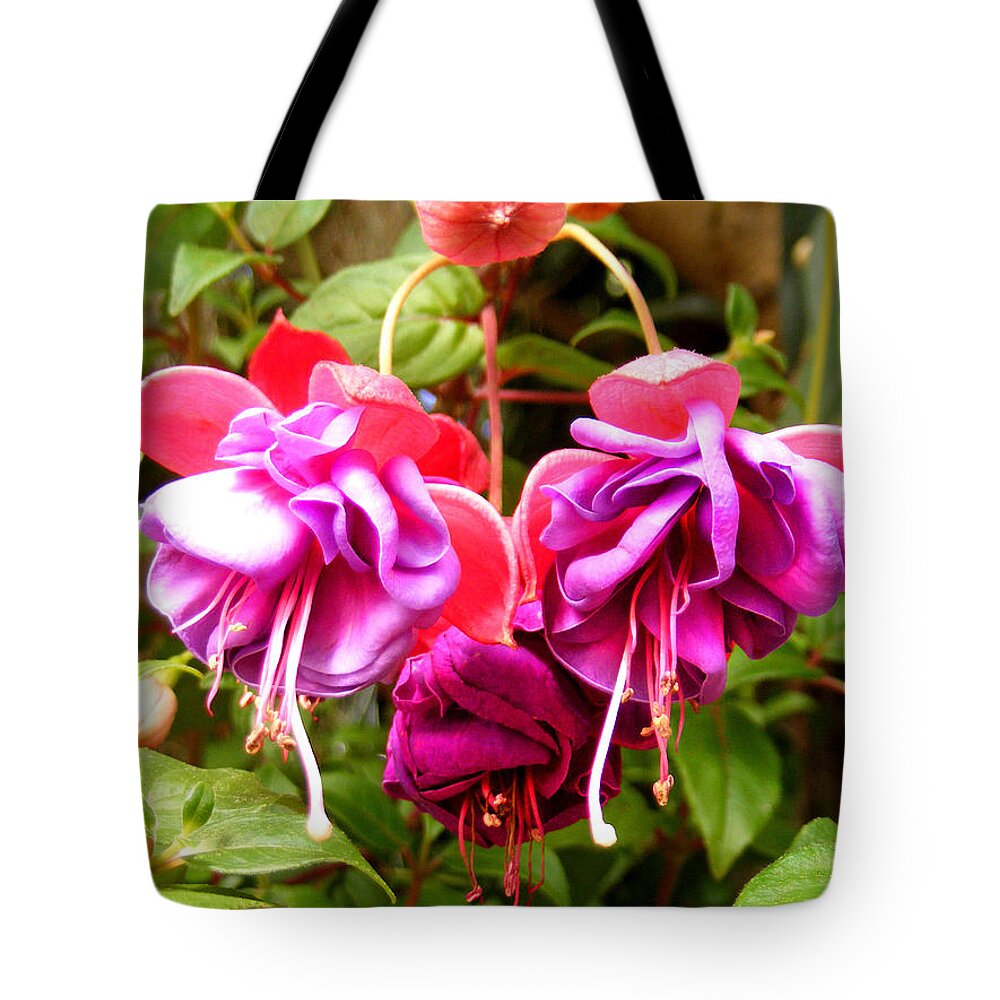 Plants Tote Bag featuring the photograph Fushia Flowers by Duane McCullough