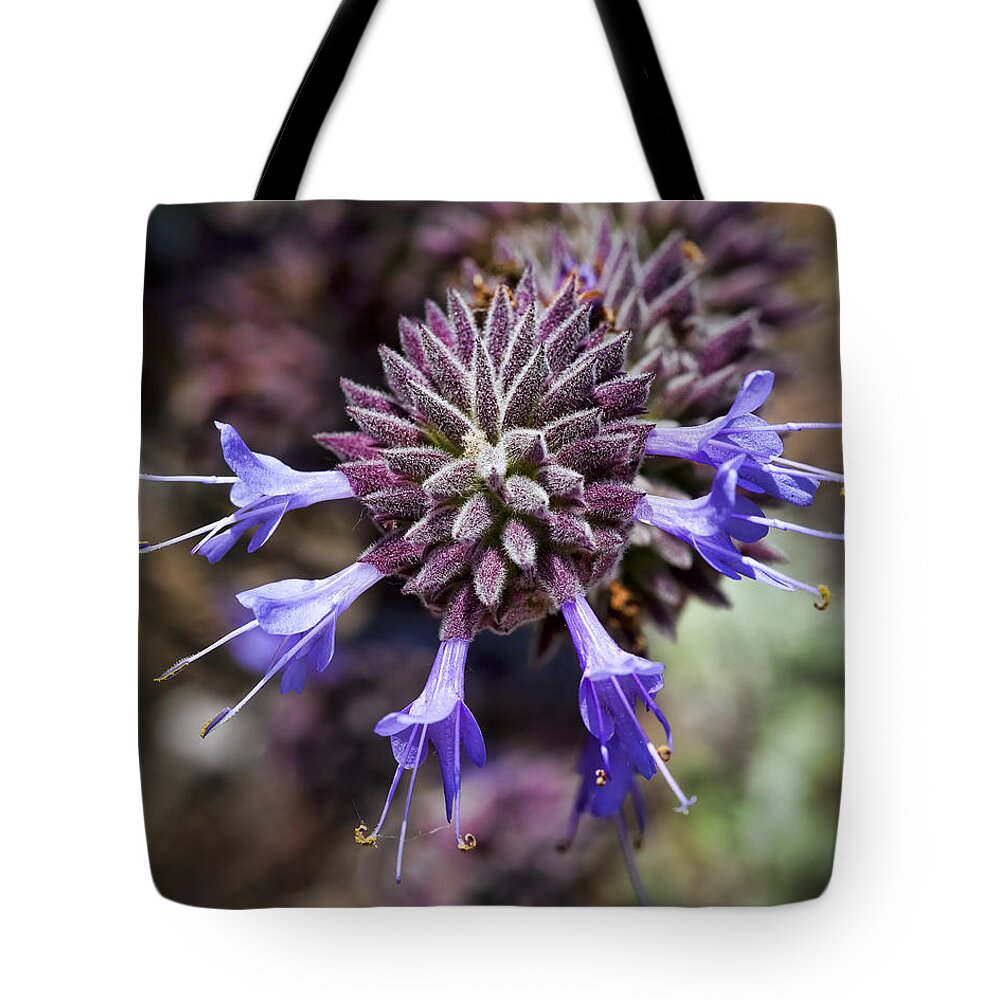 Lavender Flowers Tote Bag featuring the photograph Fuzzy Purple 2 by Kelley King