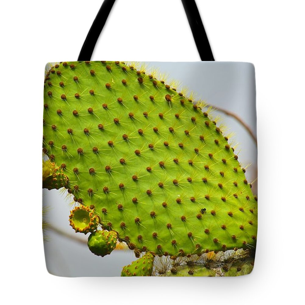 Galapagos Tote Bag featuring the photograph Galapagos Prickly Pear by Allan Morrison