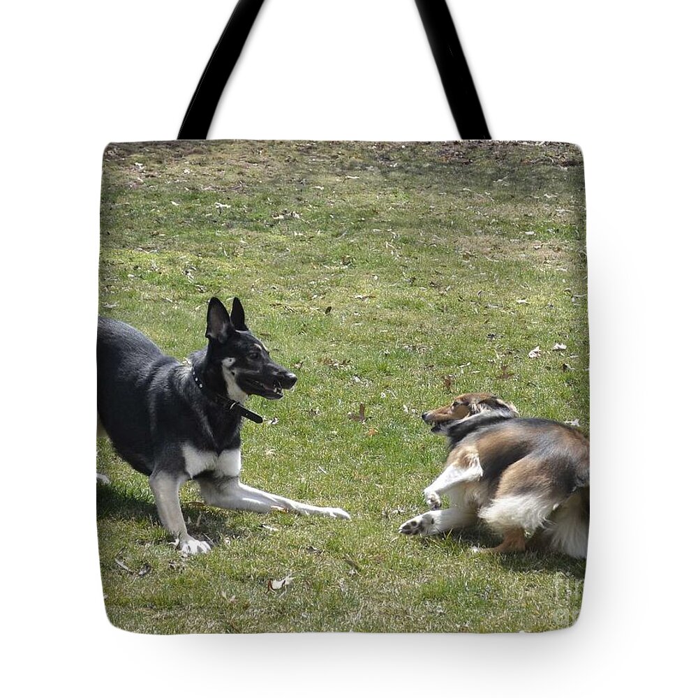 German Shepherd Photographs Tote Bag featuring the photograph Game over baby by Luther Fine Art