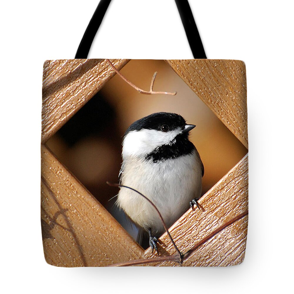 Bird Tote Bag featuring the photograph Garden Chickadee by Christina Rollo
