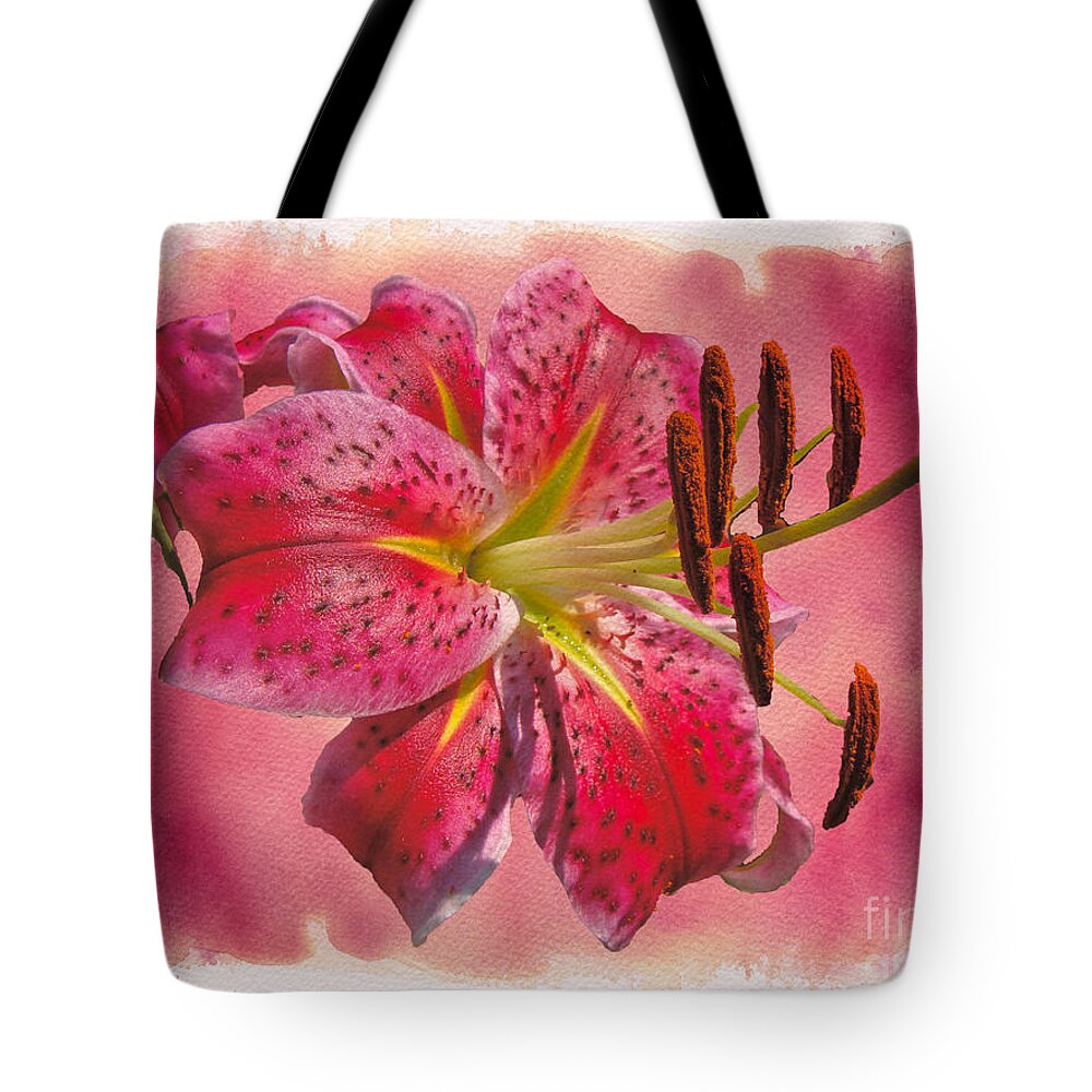 Lily Tote Bag featuring the photograph Garden Delight - Stargazer Lily by Carol Senske