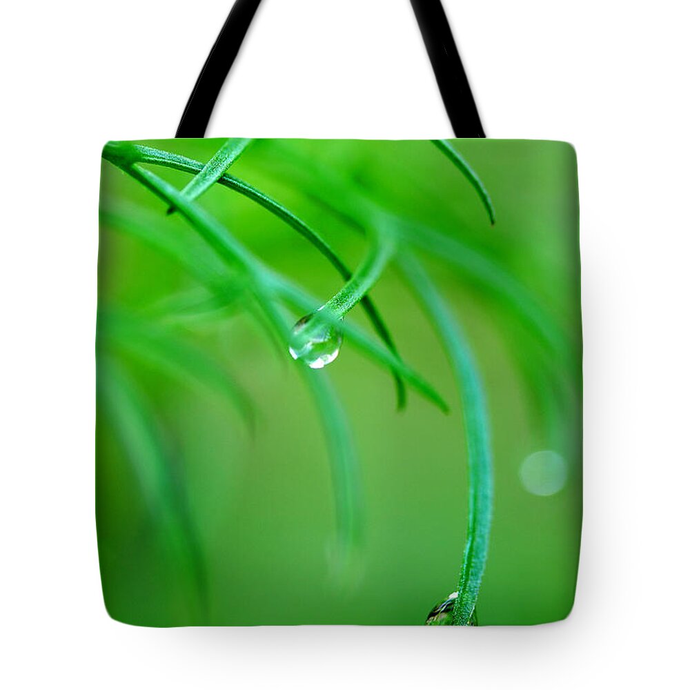 Dew Drops Tote Bag featuring the photograph Garden Gifts by Michael Eingle