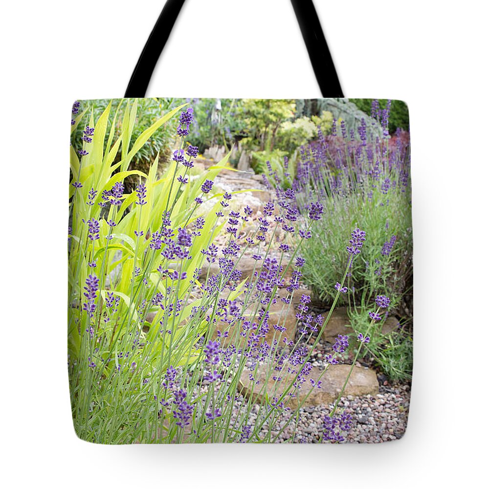 Lavender Tote Bag featuring the photograph Garden Path with English Lavender Flowers by David Gn