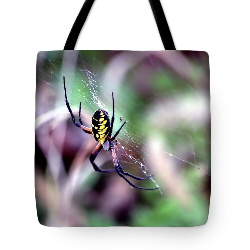Spider Tote Bag featuring the photograph Garden Spider by Deena Stoddard