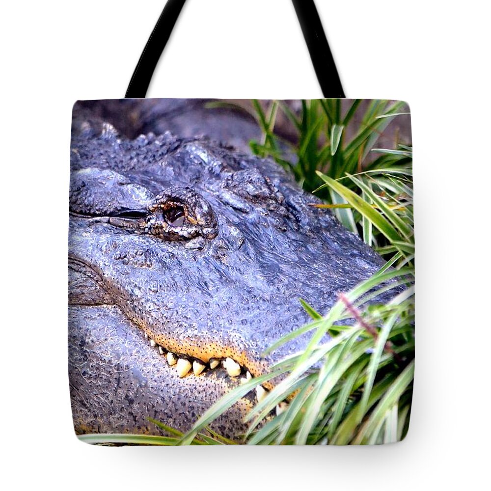 Gator Tote Bag featuring the photograph Gator by Deena Stoddard