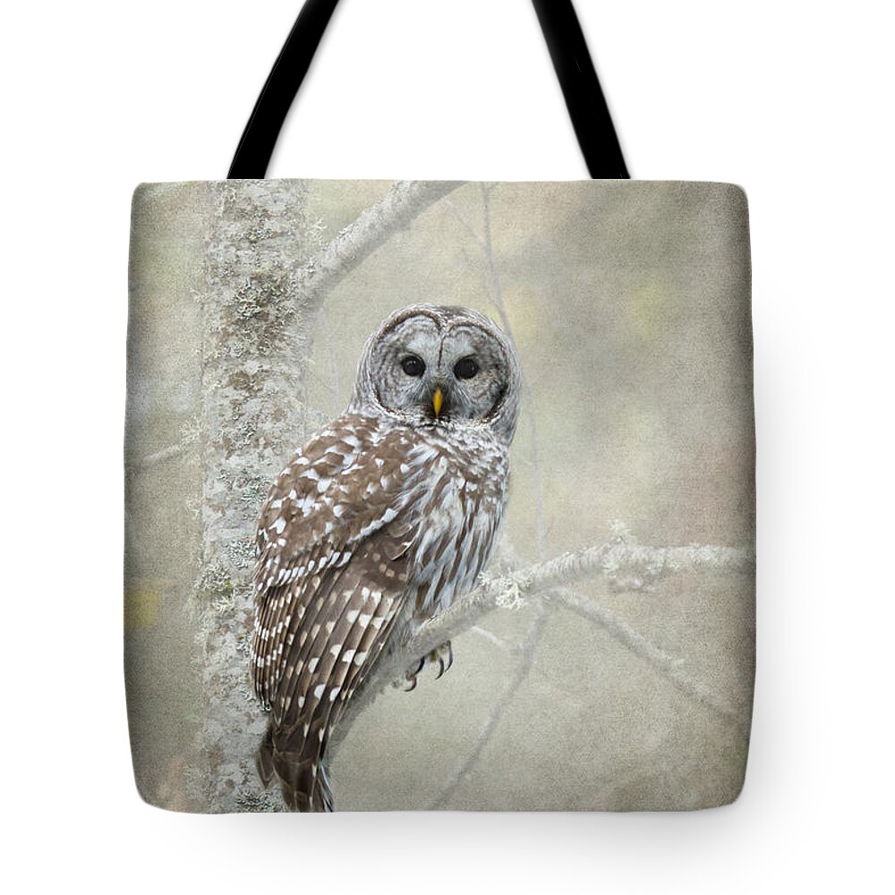 Bird Of Prey Tote Bag featuring the photograph Guardian of the Woods by Beve Brown-Clark Photography