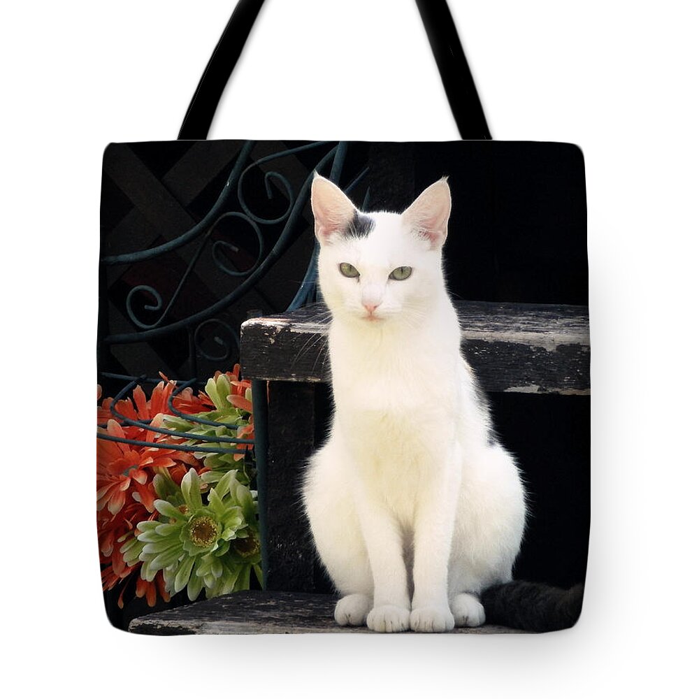 Cat Tote Bag featuring the photograph Gaze by Zinvolle Art