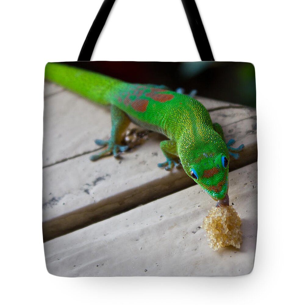 Gecko Tote Bag featuring the photograph Gecko 2 by Christie Kowalski