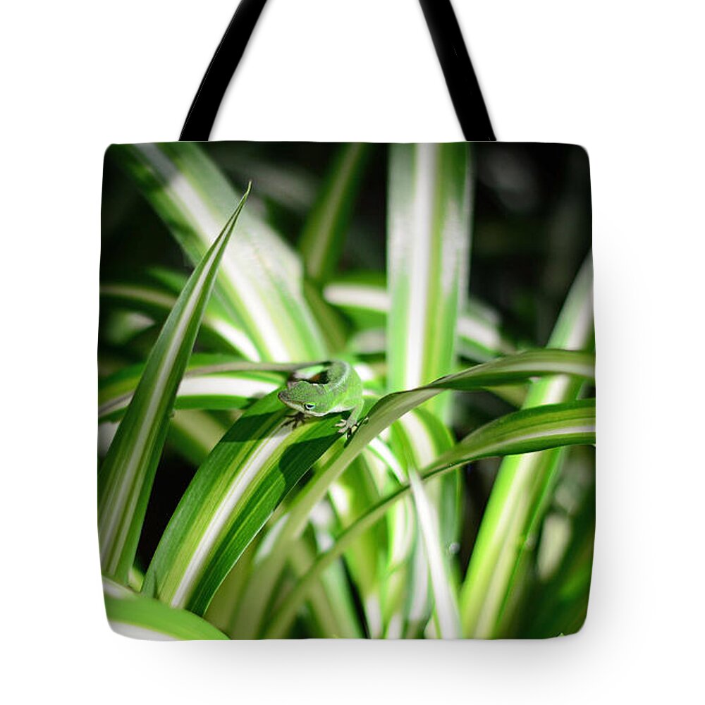 Gecko Tote Bag featuring the photograph Gecko Camouflaged on Spider Plant by Connie Fox