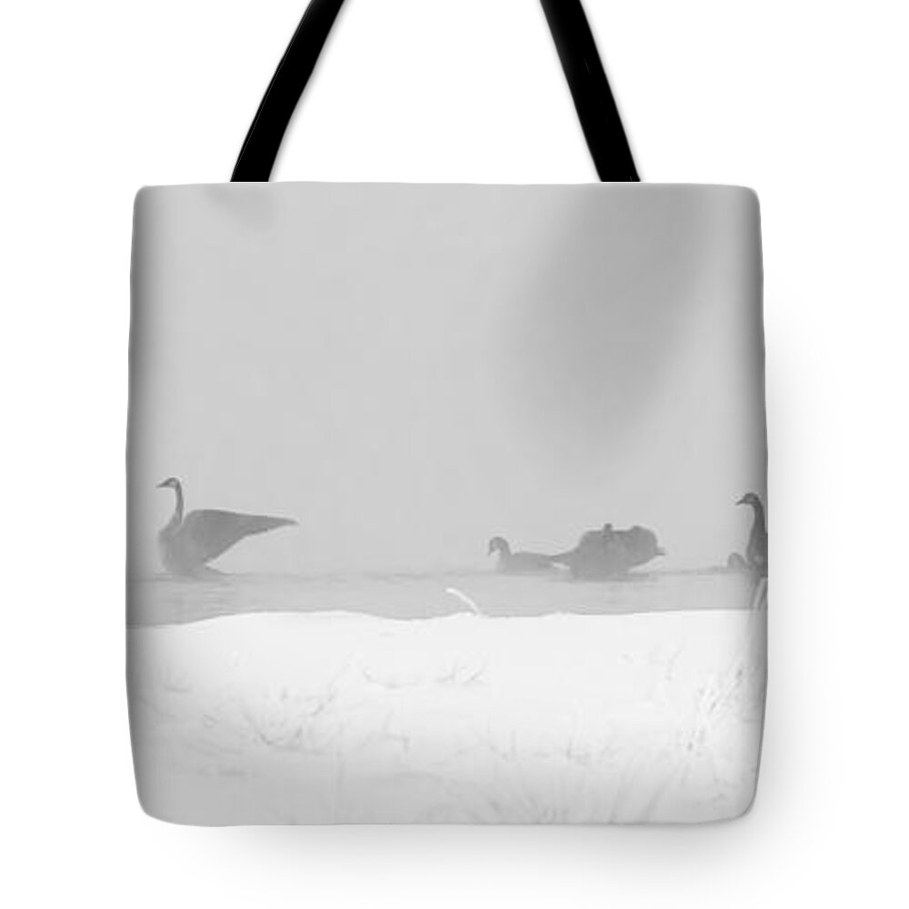 Geese Tote Bag featuring the photograph Geese by Steven Ralser