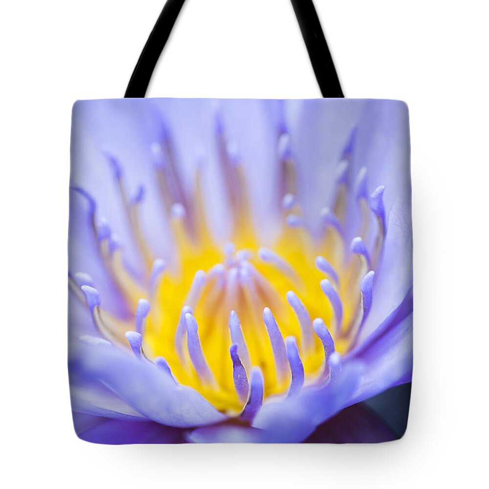 Blue Waterlily Tote Bag featuring the photograph Gentle Blue by Priya Ghose