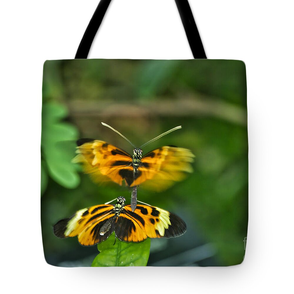 Mating Tote Bag featuring the photograph Gentle Butterfly Courtship 03 by Thomas Woolworth