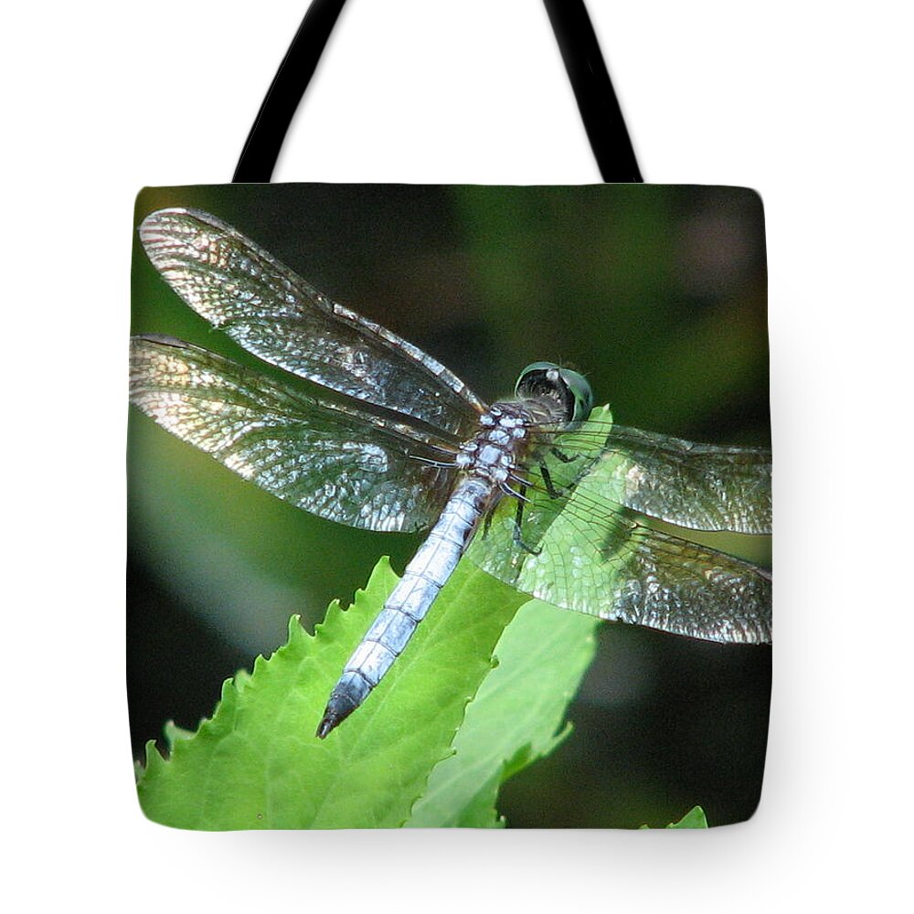 Dragon Fly Tote Bag featuring the photograph Gentle Dragon by Cleaster Cotton